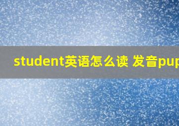 student英语怎么读 发音pupil